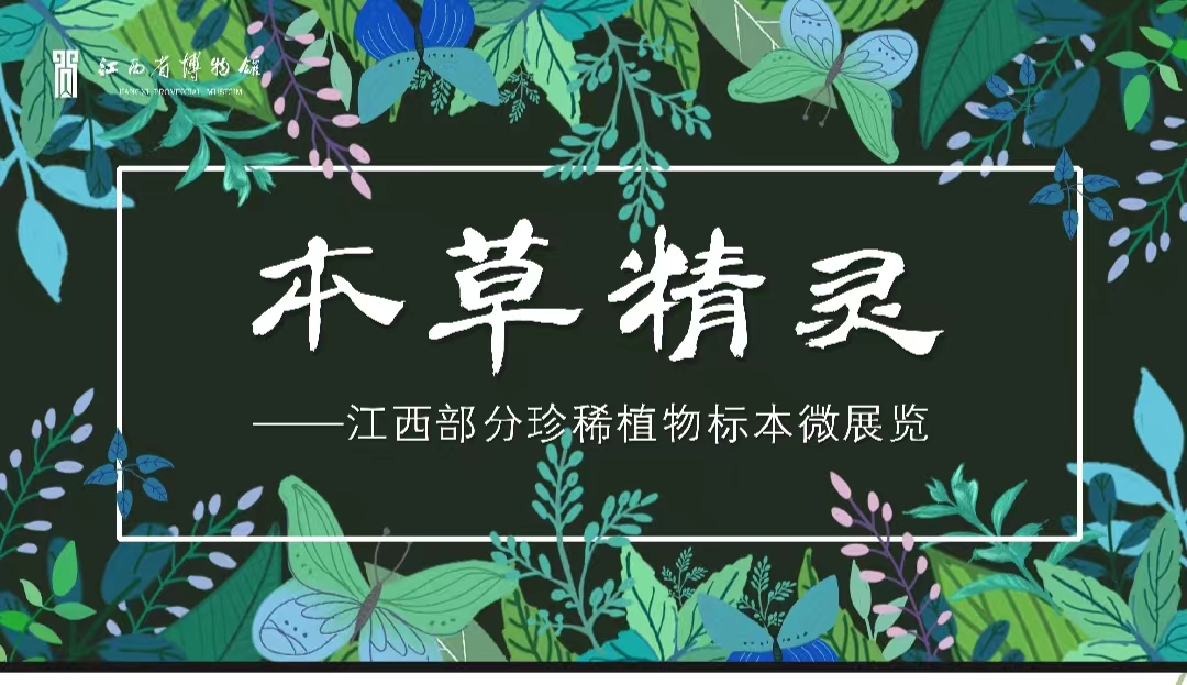 “本草精灵”植物标本展全省巡展将在九江市湖口县博物馆开展