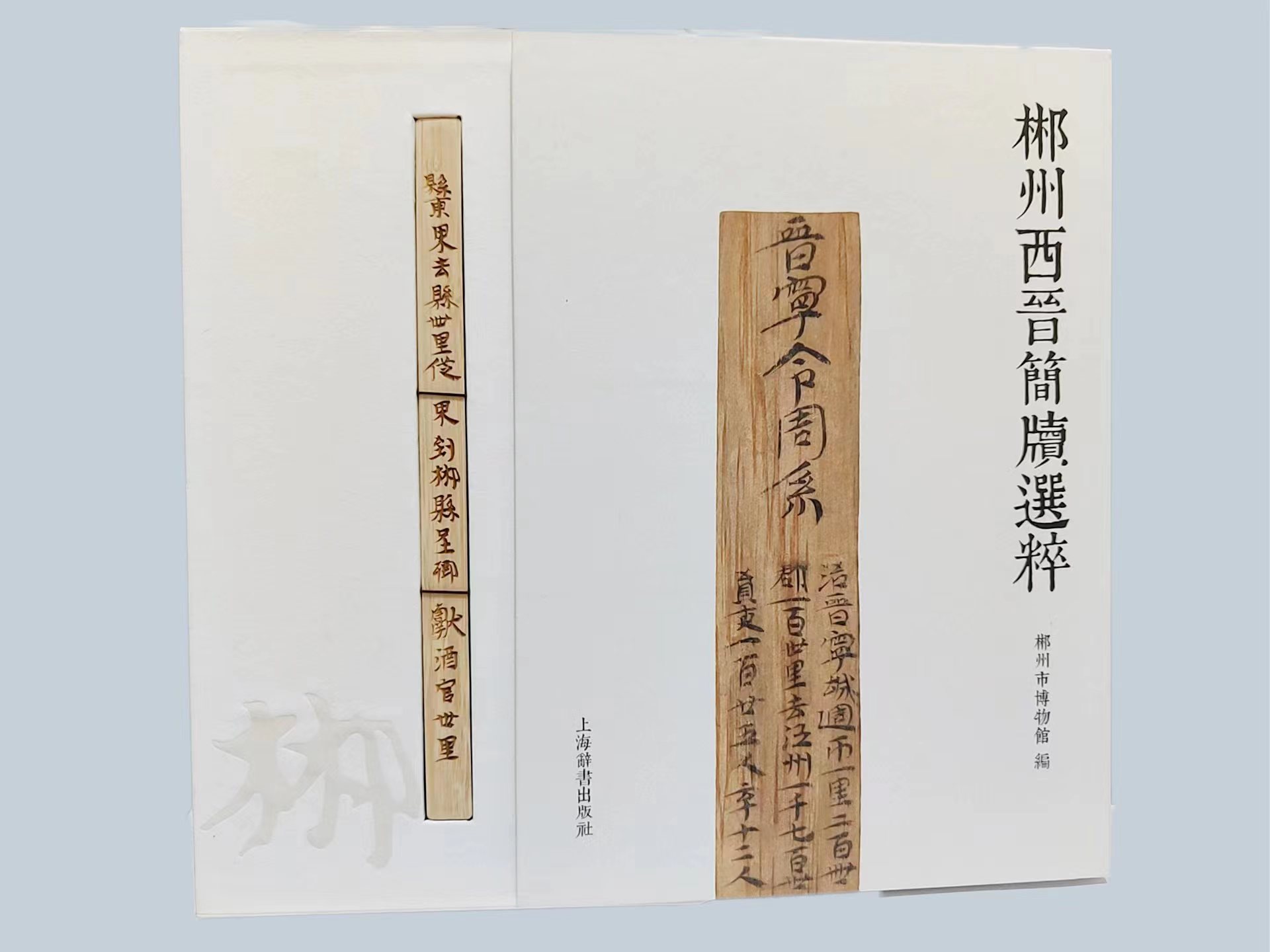 《郴州西晋简牍选粹》入选2022年度全国古籍出版社百佳图书！