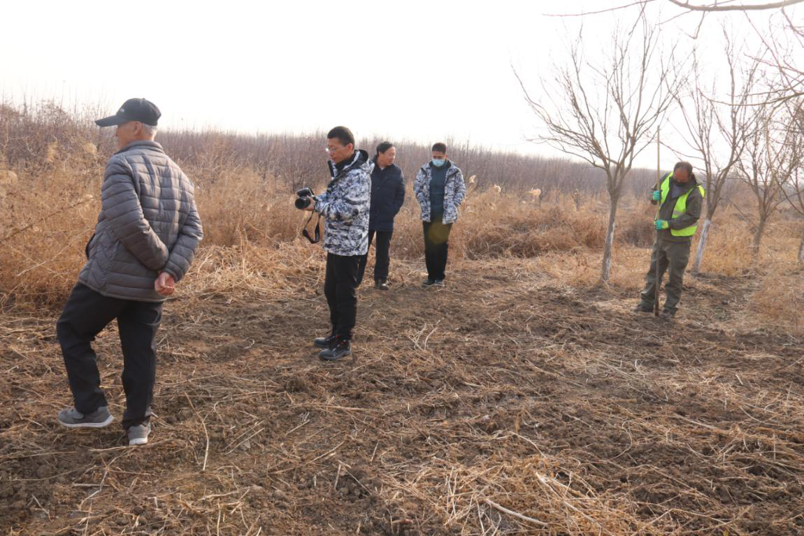 大运河武清区明代官窑遗址  田野考古调查工作启动