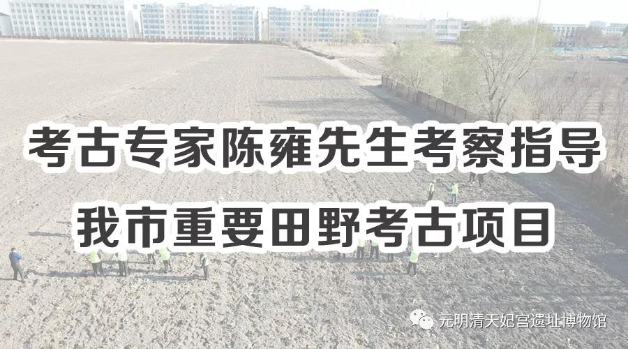 考古专家陈雍先生考察指导 我市重要田野考古项目