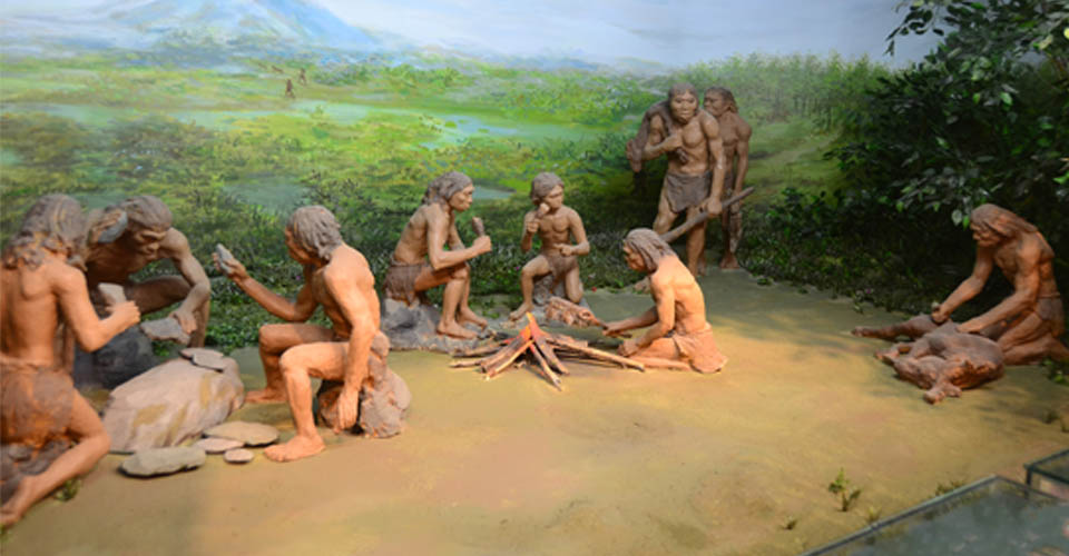 《营口古代文明展》