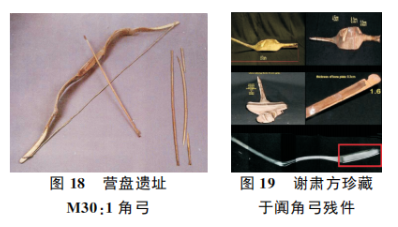 成都体育学院历史文化系